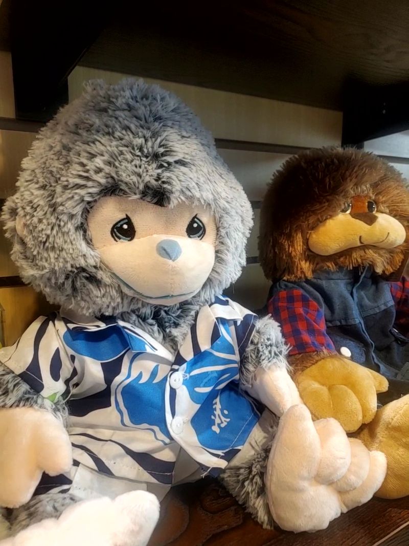 Stuff a Bear and Lawn Games