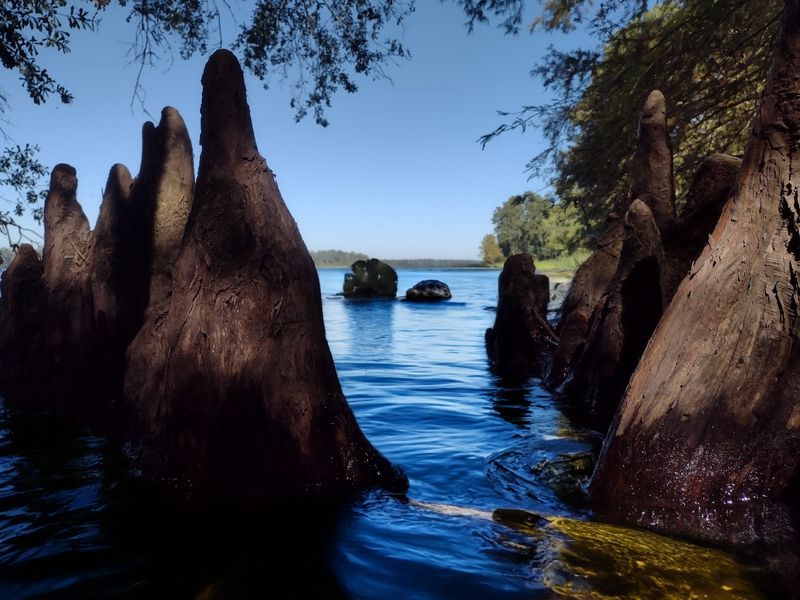 Stumps, Open Water, and Bass Stumps, Open Water, and Bass