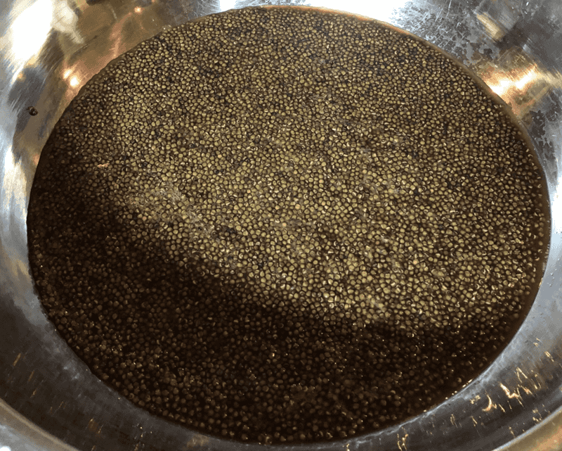 Sturgeon eggs (caviar)