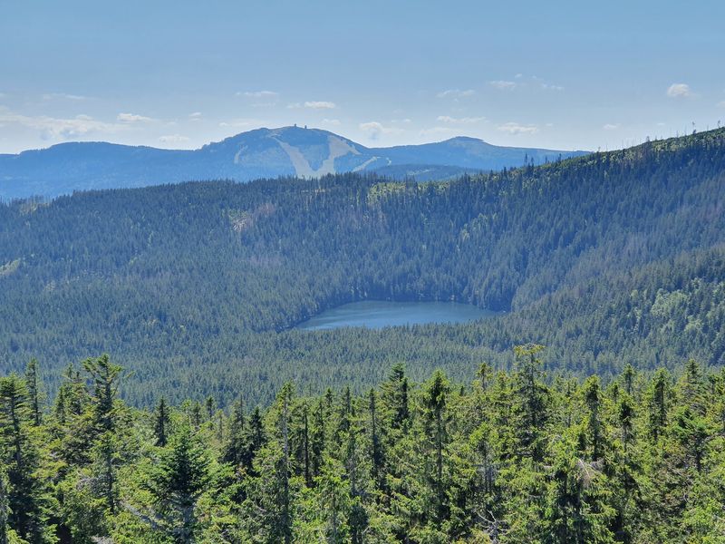 Šumava Forest, Czechia Šumava Forest, Czechia