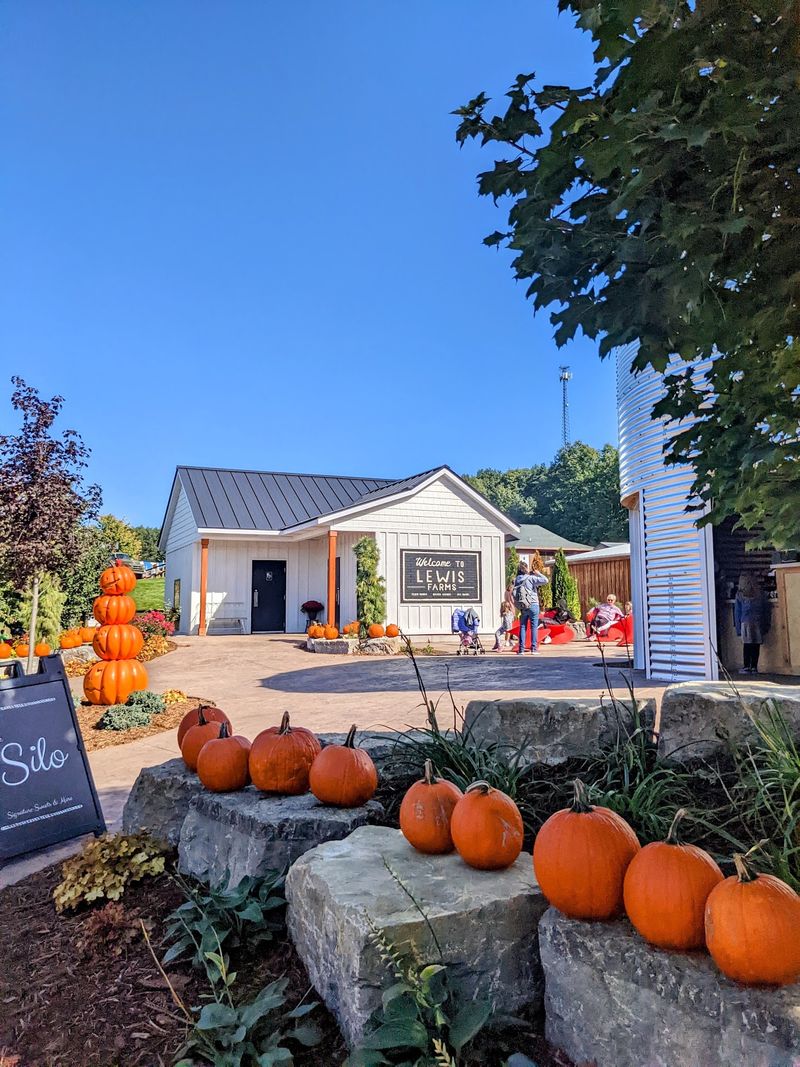 Sunflowers, Pig Races, and Pumpkin Season