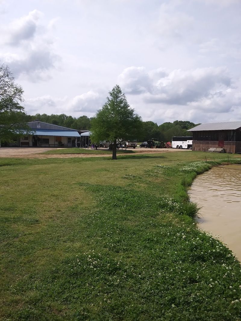 Sunrise Catfish Farm - DeRidder Sunrise Catfish Farm - DeRidder