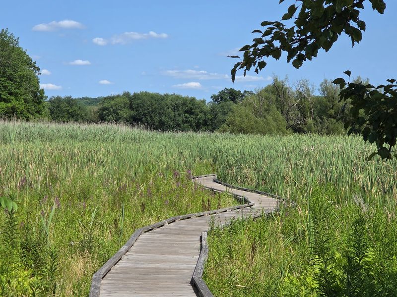 Sunshine, Shade, and Timing Your Walk