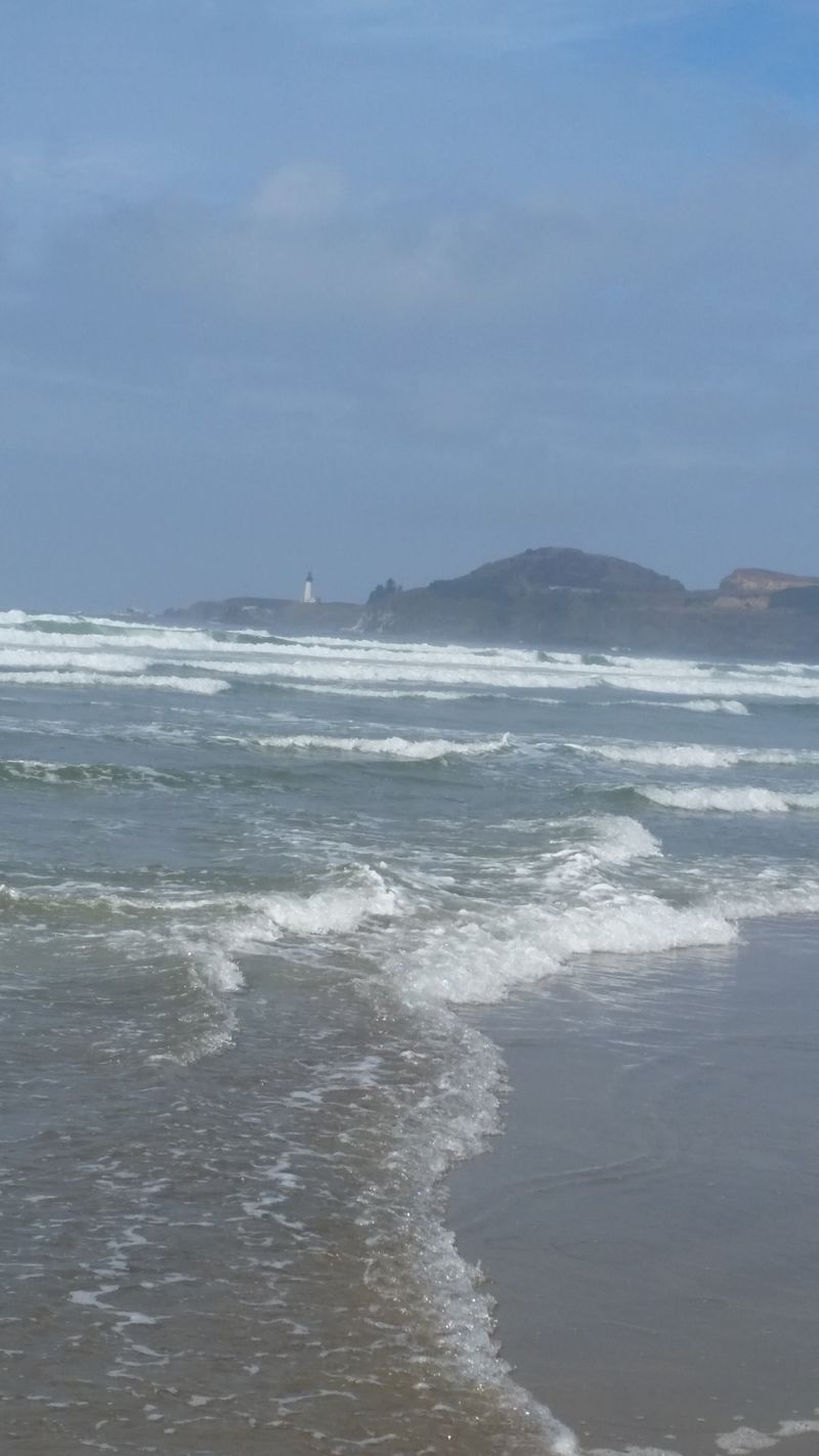 Surf, Clams, and Fishing Lines