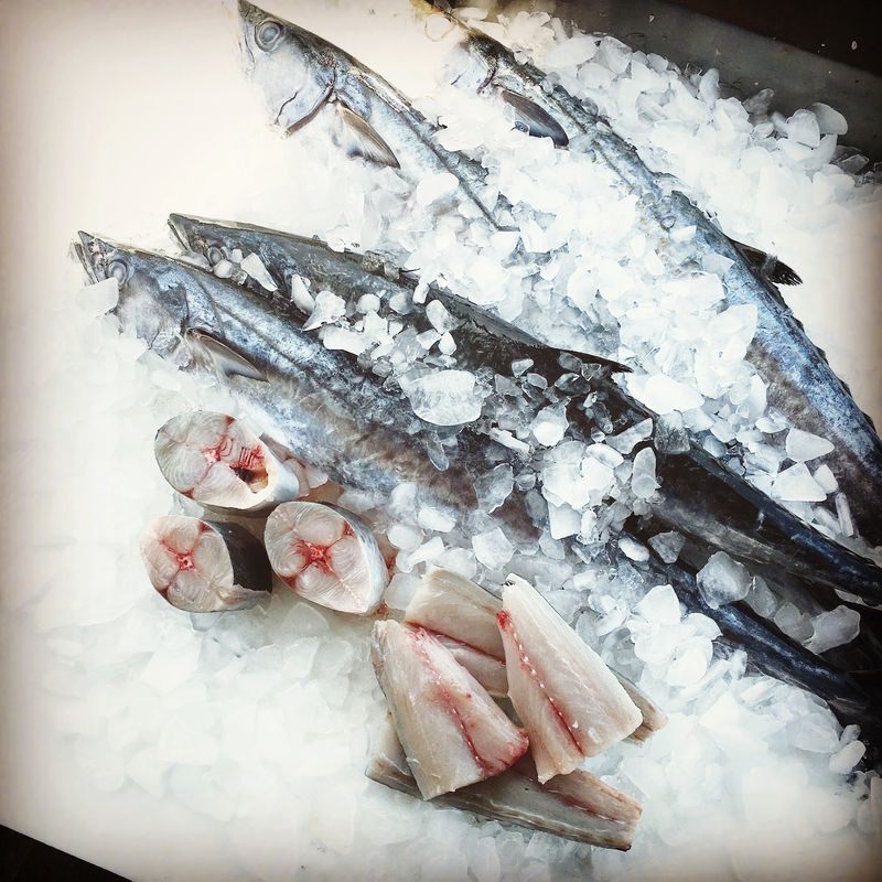 Sustainably Caught and Treated With Care Sustainably Caught and Treated With Care