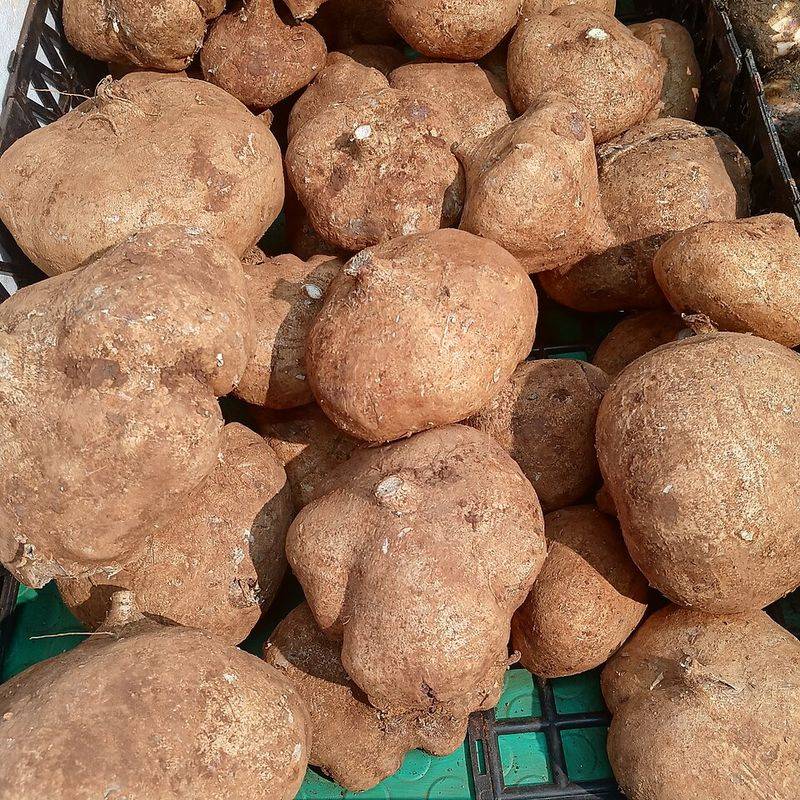 Sweet Potatoes