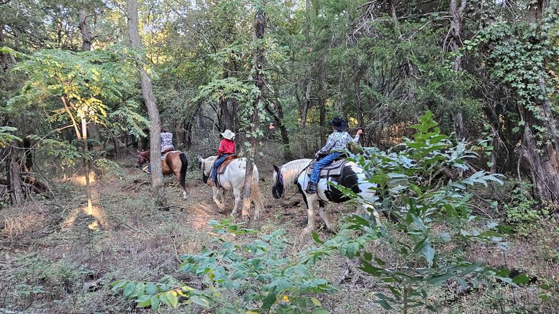 Sweetheart Rides for Couples