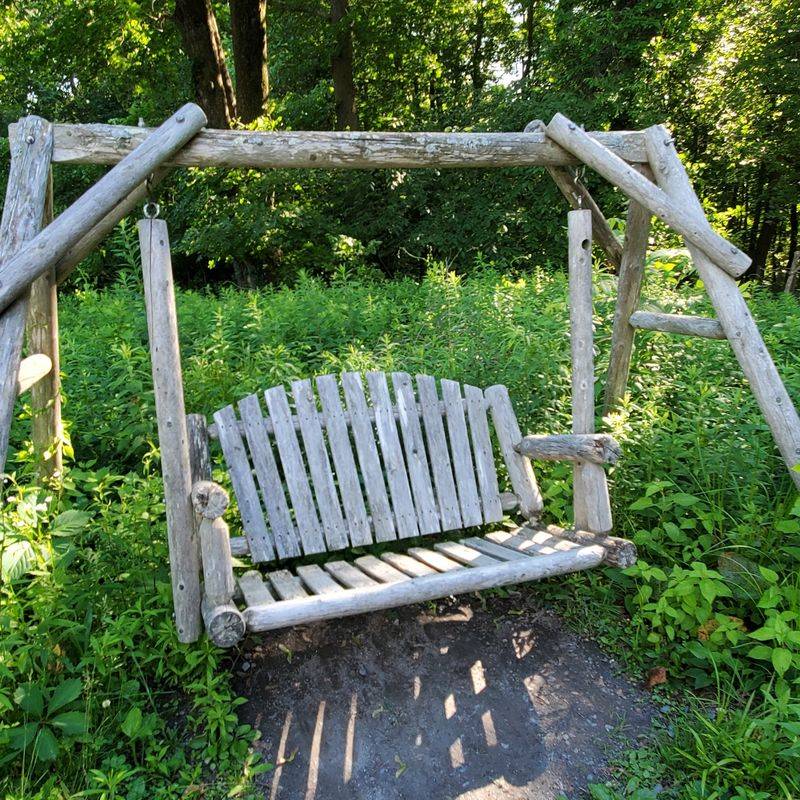 Swings, Logs, and Room for Little Explorers