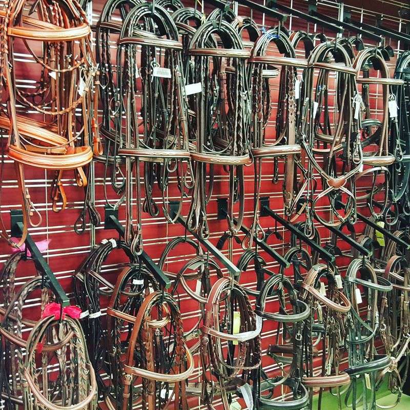Tack and Everyday Horse Supplies Tack and Everyday Horse Supplies