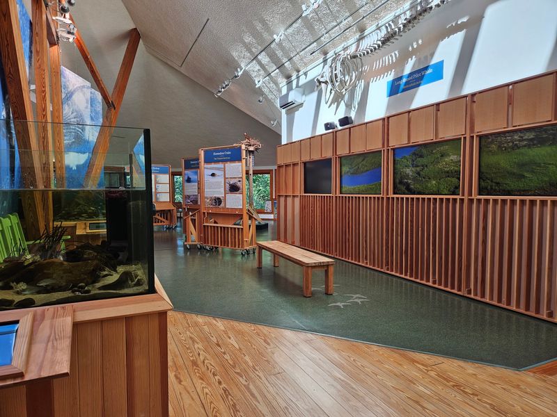 Tanks Full of Local Sea Life