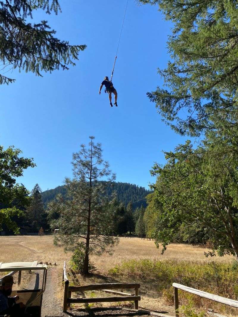 Tarzan Swings and a Treepoline