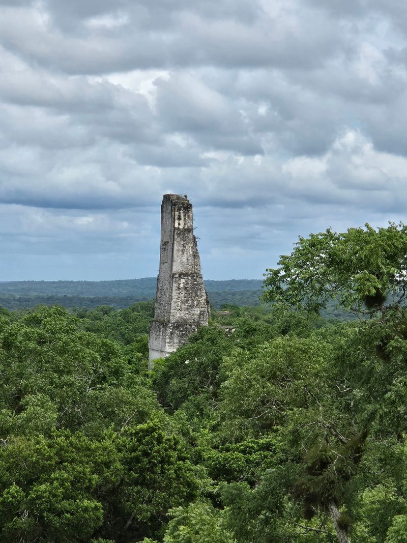 Temple IV, the Tallest Lookout