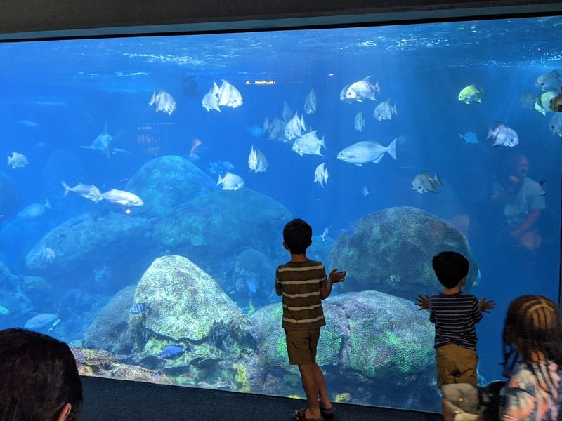 Tennessee Aquarium, Chattanooga, TN Tennessee Aquarium, Chattanooga, TN