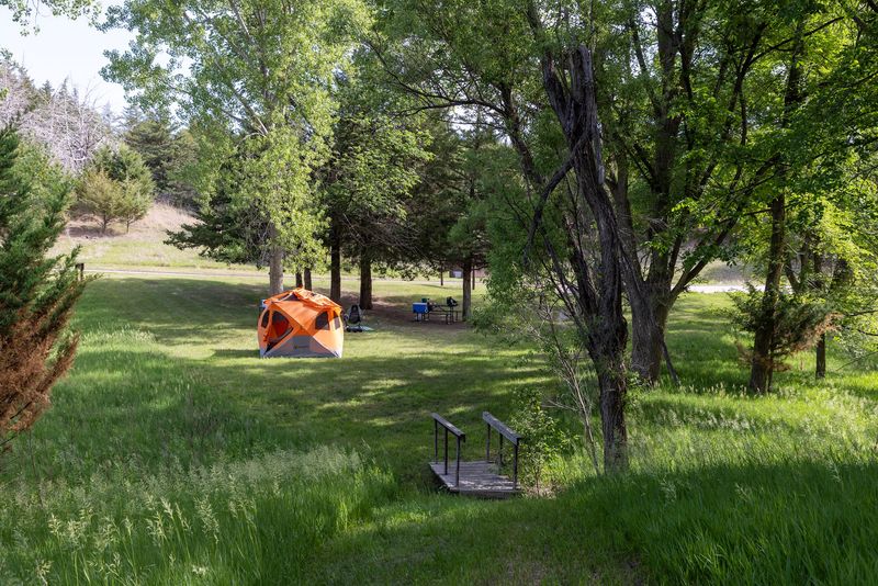 Tent Sites Tucked Into the Trees