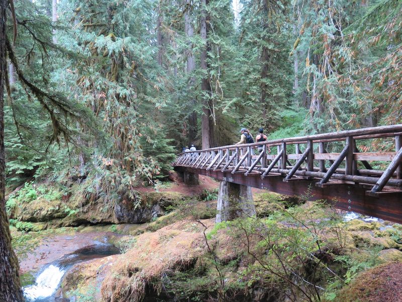 The 1.5-Mile Walk In The 1.5-Mile Walk In