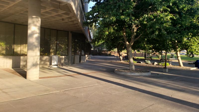 The Arboretum Hidden on Campus