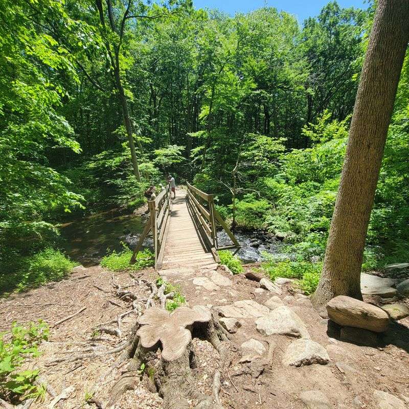 The Blue Trail Approach The Blue Trail Approach