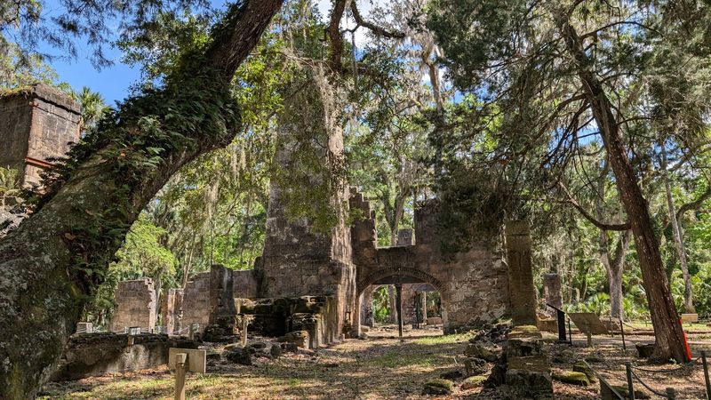 The Bulow Family's Ambitious Plantation The Bulow Family's Ambitious Plantation