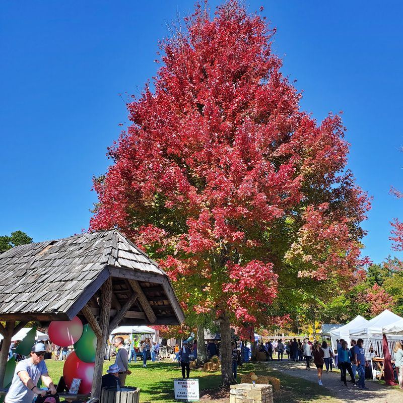 The Cashiers Valley Leaf Festival The Cashiers Valley Leaf Festival