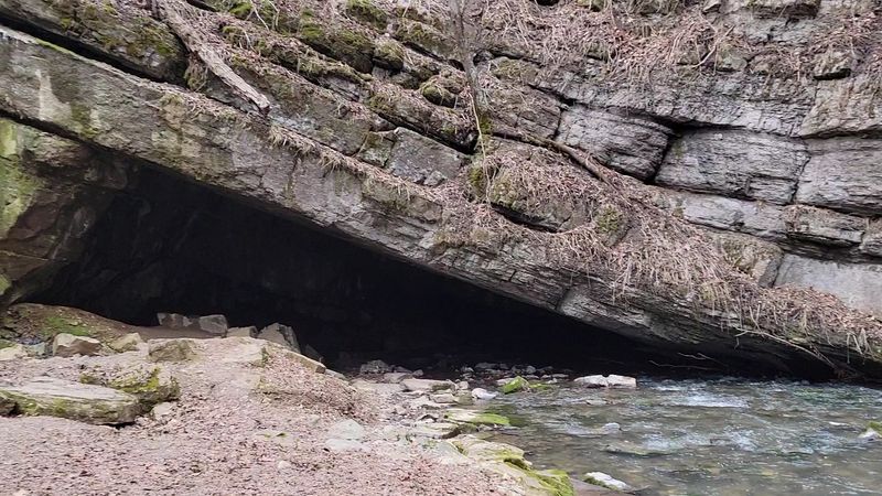 The Creek That Plays Hide and Seek