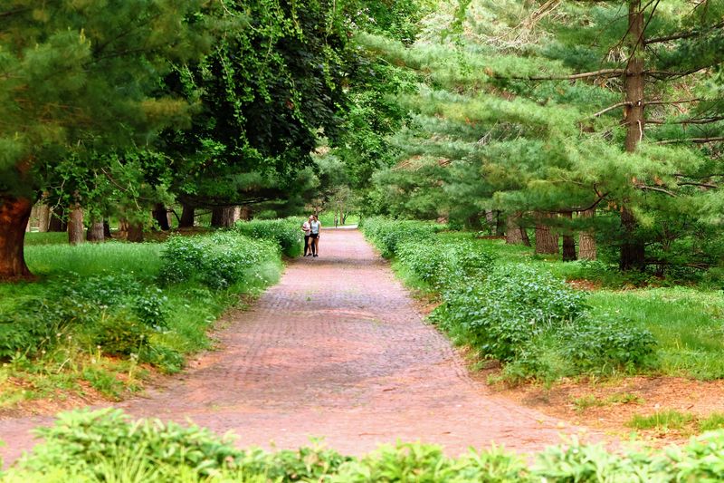 The Day Nebraska Planted a Million Trees