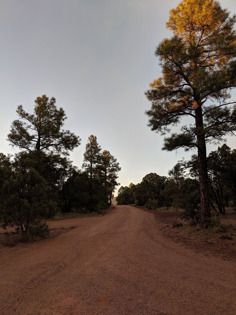 The Dirt Road In The Dirt Road In