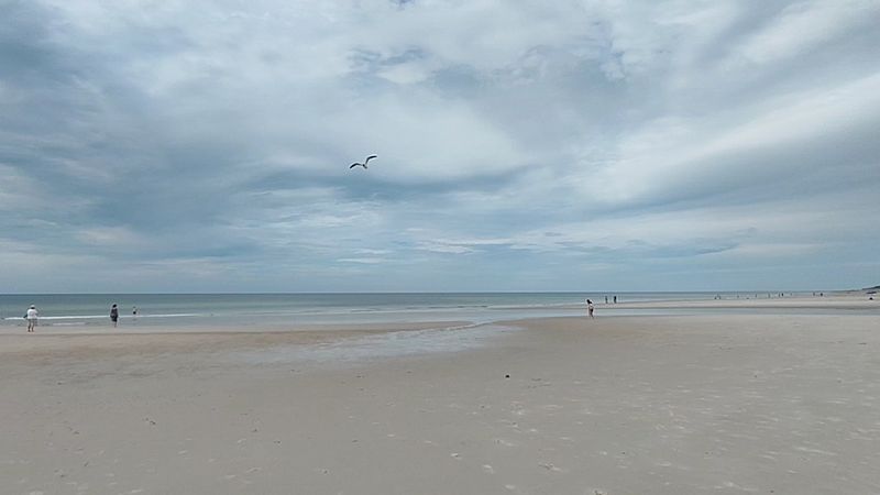 The Disappearing Act of the Tide The Disappearing Act of the Tide