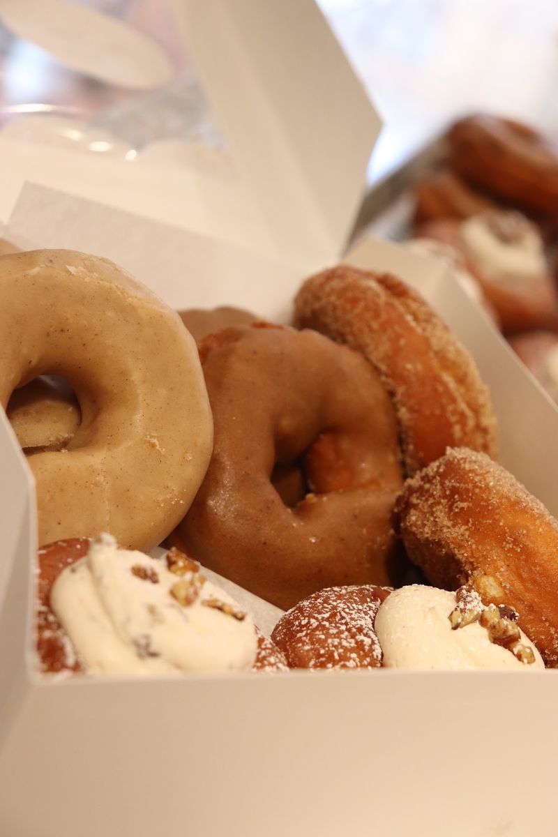 The Donut Without Gluten or Dairy