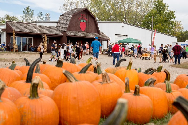 The Fall Festival and Planning Your Day The Fall Festival and Planning Your Day
