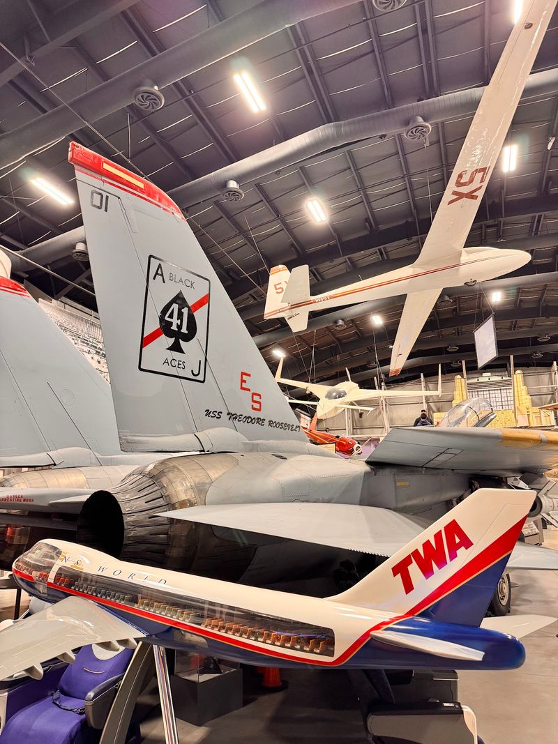 The Famous F-14 Tomcat and Fellow Warbirds The Famous F-14 Tomcat and Fellow Warbirds