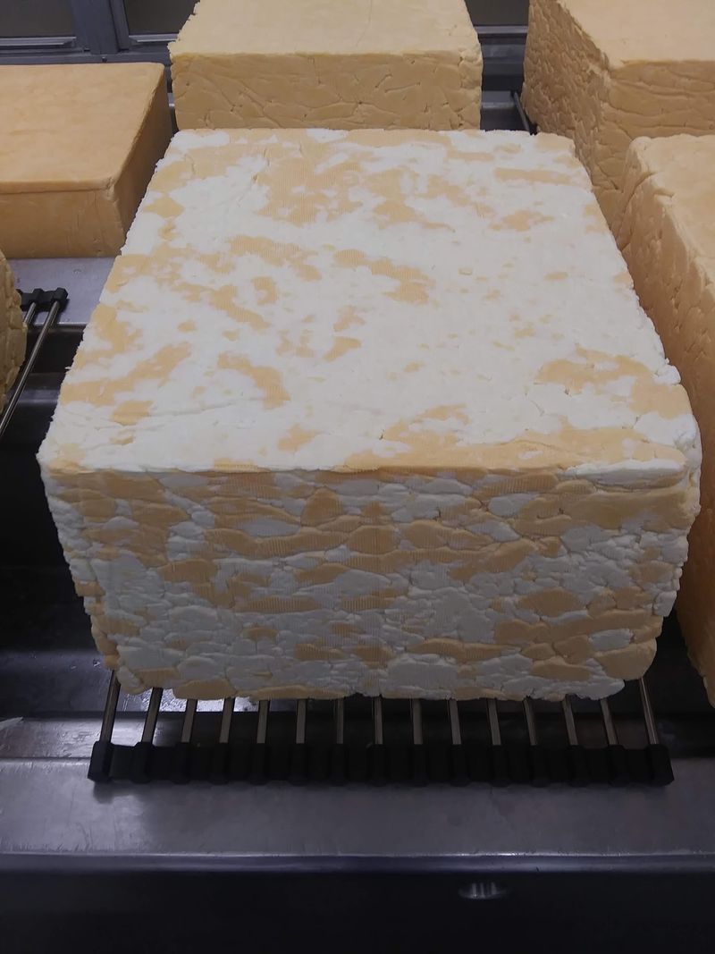 The Famous Squeak of Fresh Curds The Famous Squeak of Fresh Curds