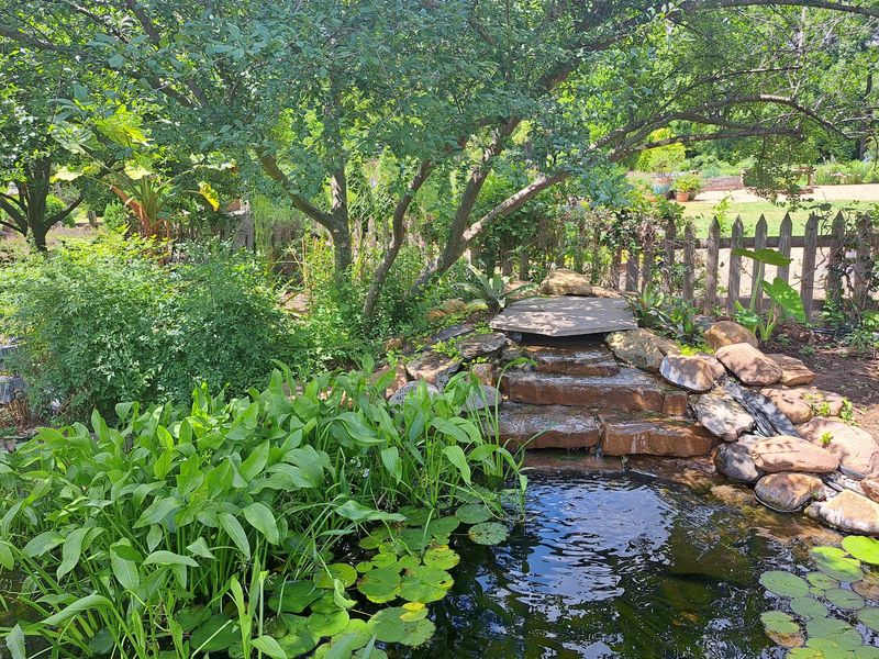 The Fish Pond and Water Features The Fish Pond and Water Features