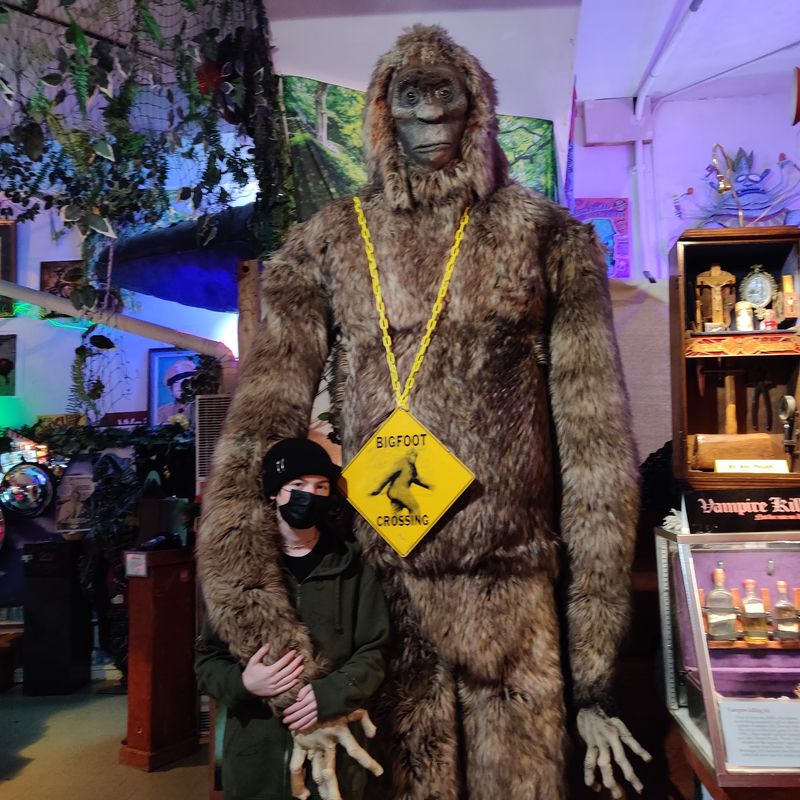 The Freakybuttrue Peculiarium and Museum