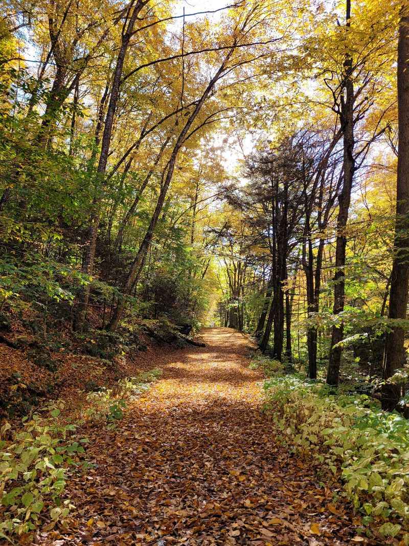 The Gravel Road Up The Gravel Road Up