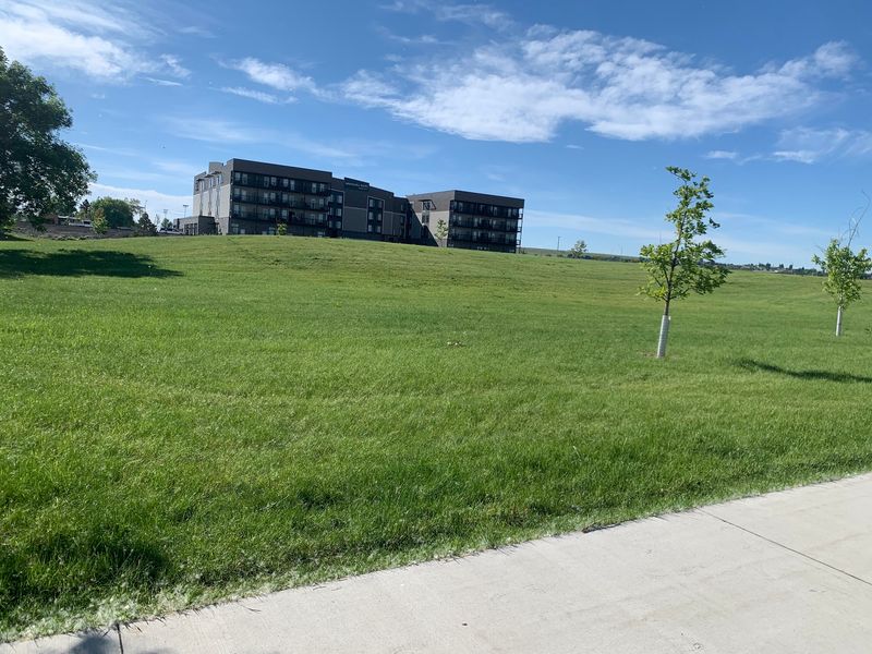 The Green Space That Makes the Park a True Gathering Spot