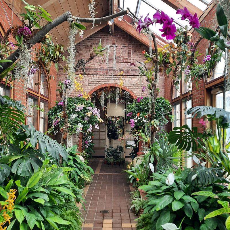 The Greenhouse And Garden Shop For Plant Lovers