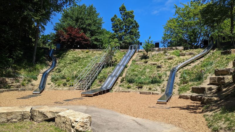 The Griff Hill Slides The Griff Hill Slides