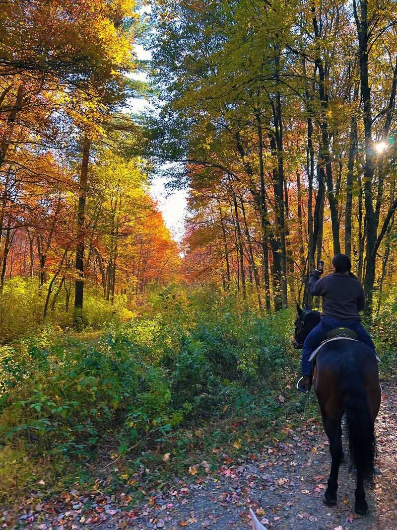 The Grownup Trail Ride Lineup