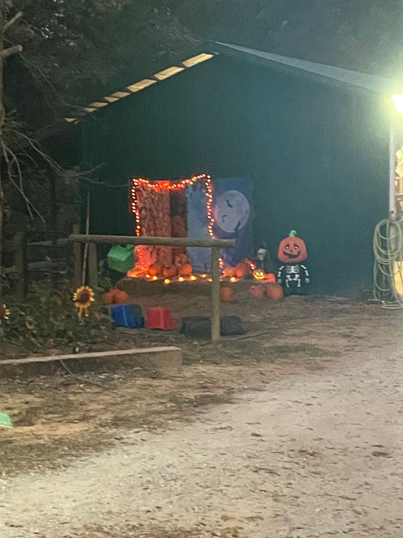 The Haunted Trail Surprise The Haunted Trail Surprise