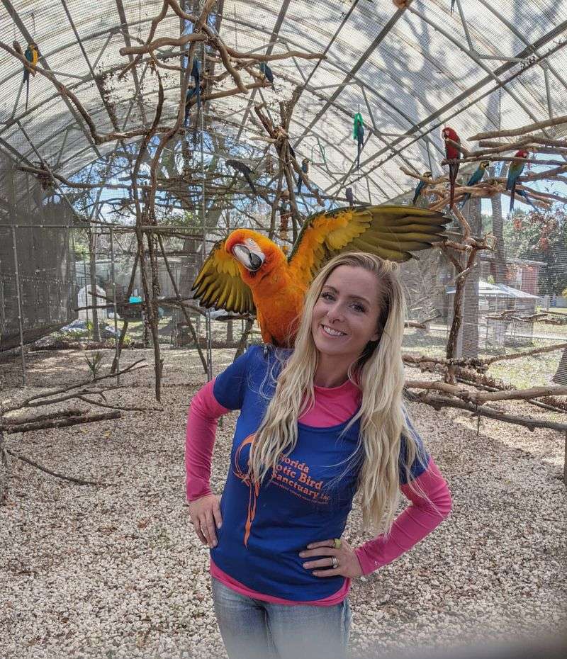 The High Flyer Tour and Macaw Magic