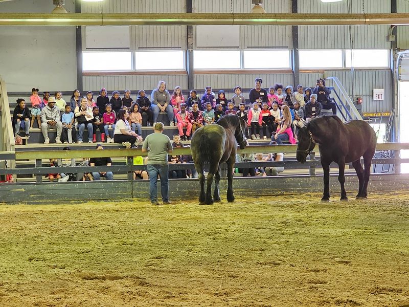 The Horse Barn Is Where Staff Love To Talk The Horse Barn Is Where Staff Love To Talk