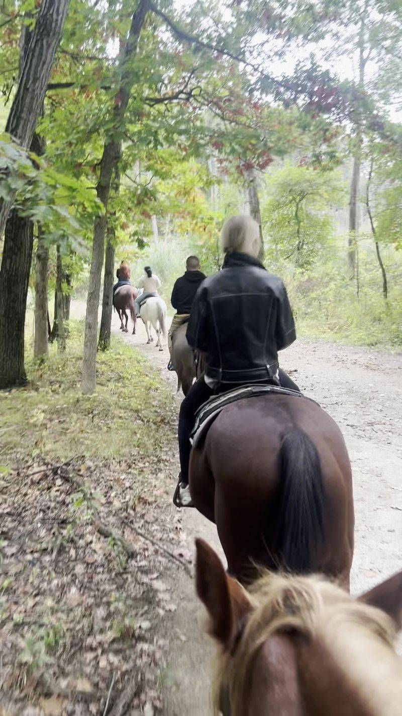 The Hour-Long Trail Ride Itself The Hour-Long Trail Ride Itself