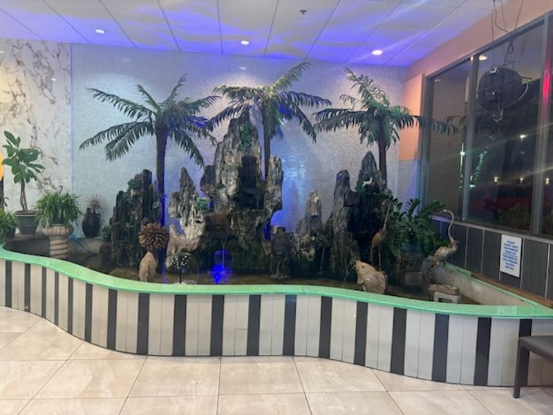 The Koi Pond Welcome