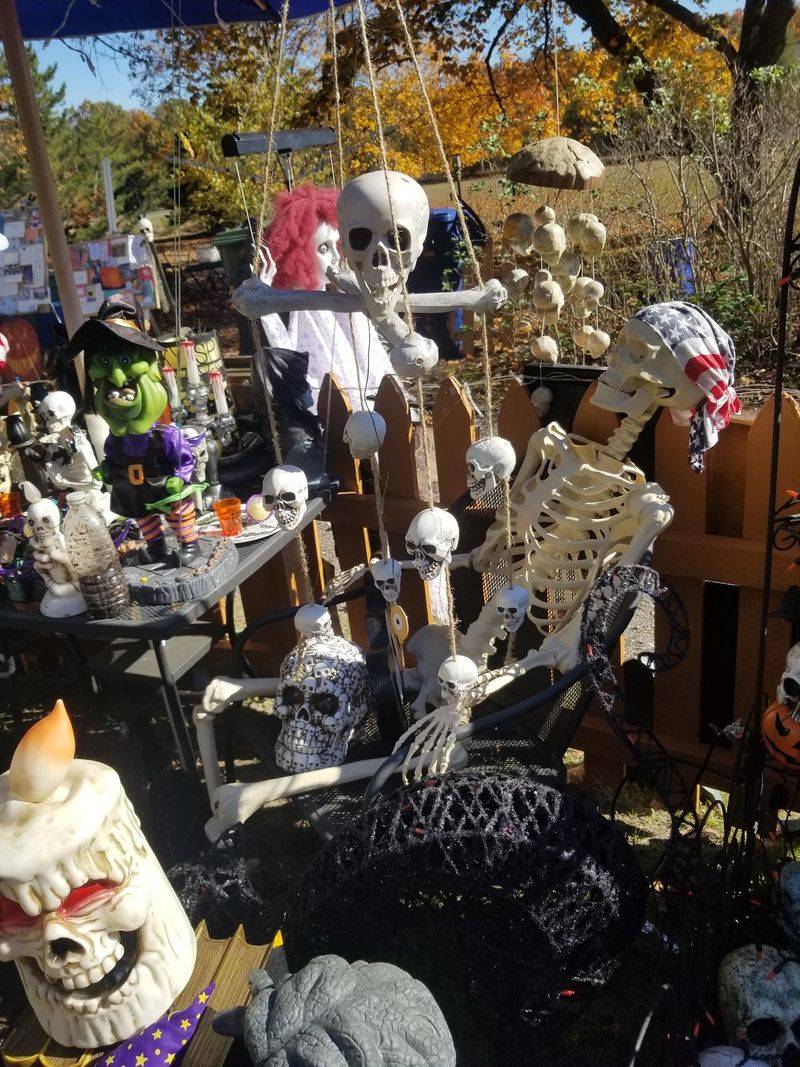 The Man Behind All Those Skeletons The Man Behind All Those Skeletons