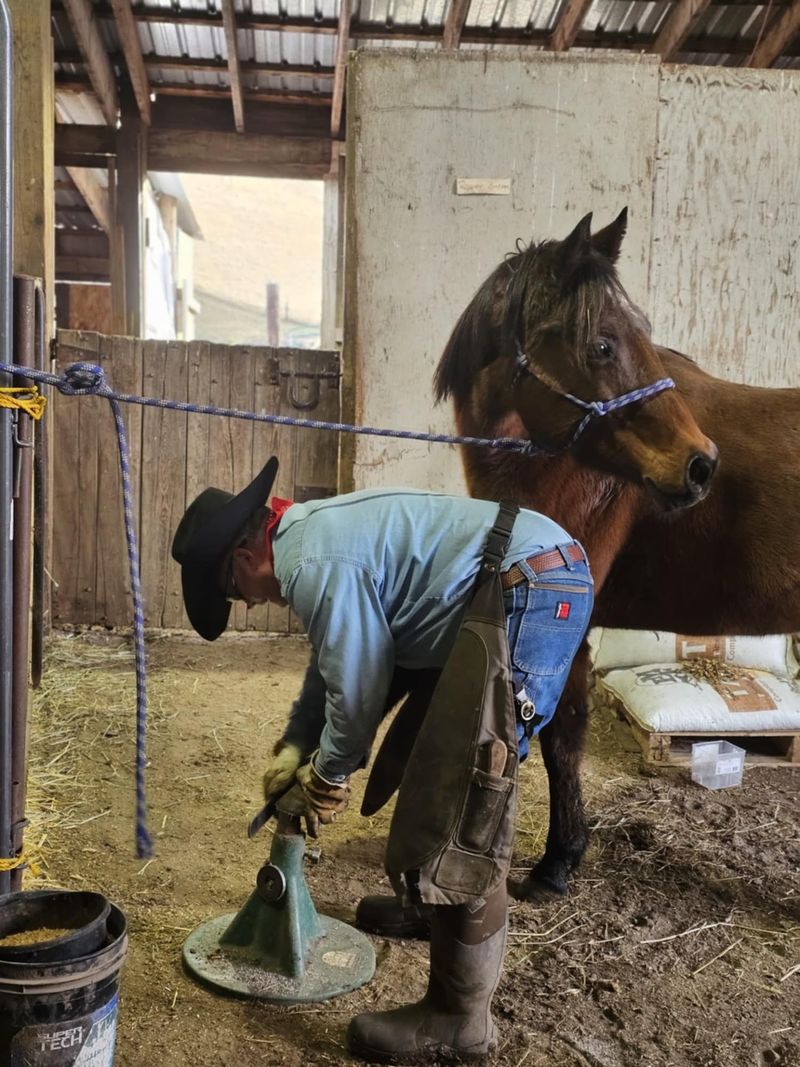 The Man Who Knew Every Horse by Name The Man Who Knew Every Horse by Name