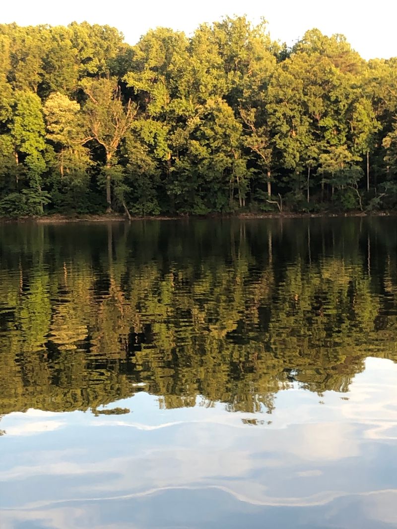 The Mood on the Water