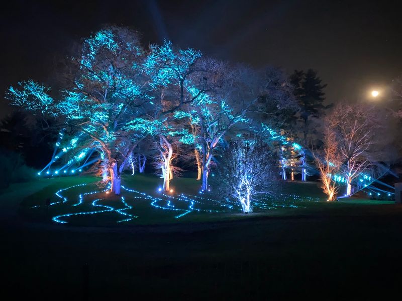 The Morton Arboretum, Lisle, IL The Morton Arboretum, Lisle, IL