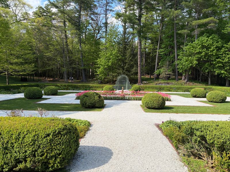 The Mount