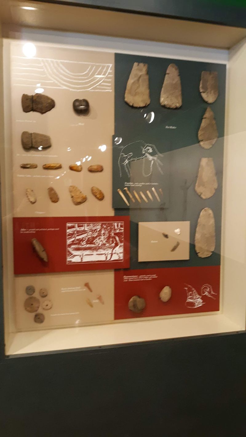 The Museum and Its Exhibits