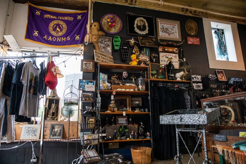 The Oddities Corner The Oddities Corner